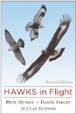 Hawks in Flight: Second Edition