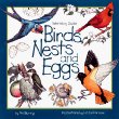 Birds, Nests, & Eggs