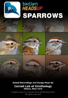 birdJam HeadsUp Sparrows iPhone app