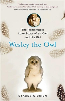 cover of Wesley the Owl: The Remarkable Love Story of an Owl and His Girl, by Stacey O'Brien
