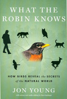 cover of What the Robin Knows: How Birds Reveal the Secrets of the Natural World, by Jon Young