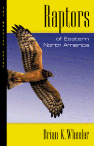 cover of Raptors of North America - Eastern