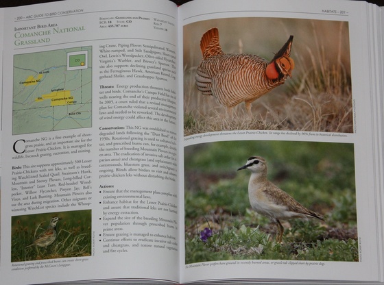 Sample IBA account from The American Bird Conservancy Guide to Bird Conservation