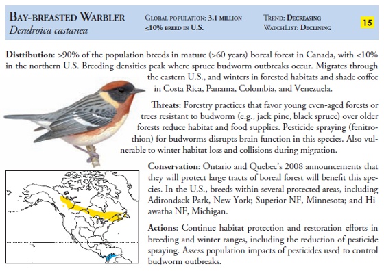 Sample species account from The American Bird Conservancy Guide to Bird Conservation