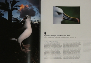 excerpt from Albatross: Their World, Their Ways