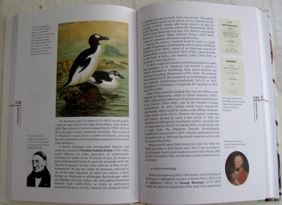 excerpt from All about Birds: A Short Illustrated History of Ornithology