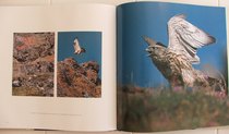 sample from Arctic National Wildlife Refuge