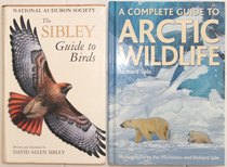 comparison front view of A Complete Guide to Arctic Wildlife