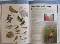 sample pages from A Complete Guide to Arctic Wildlife
