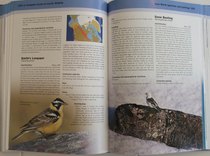 sample pages from A Complete Guide to Arctic Wildlife