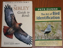 comparison front view of The Art of Bird Identification: A Straightforward Approach to Putting a Name to the Bird