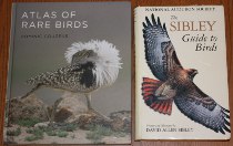 comparison front view of Atlas of Rare Birds