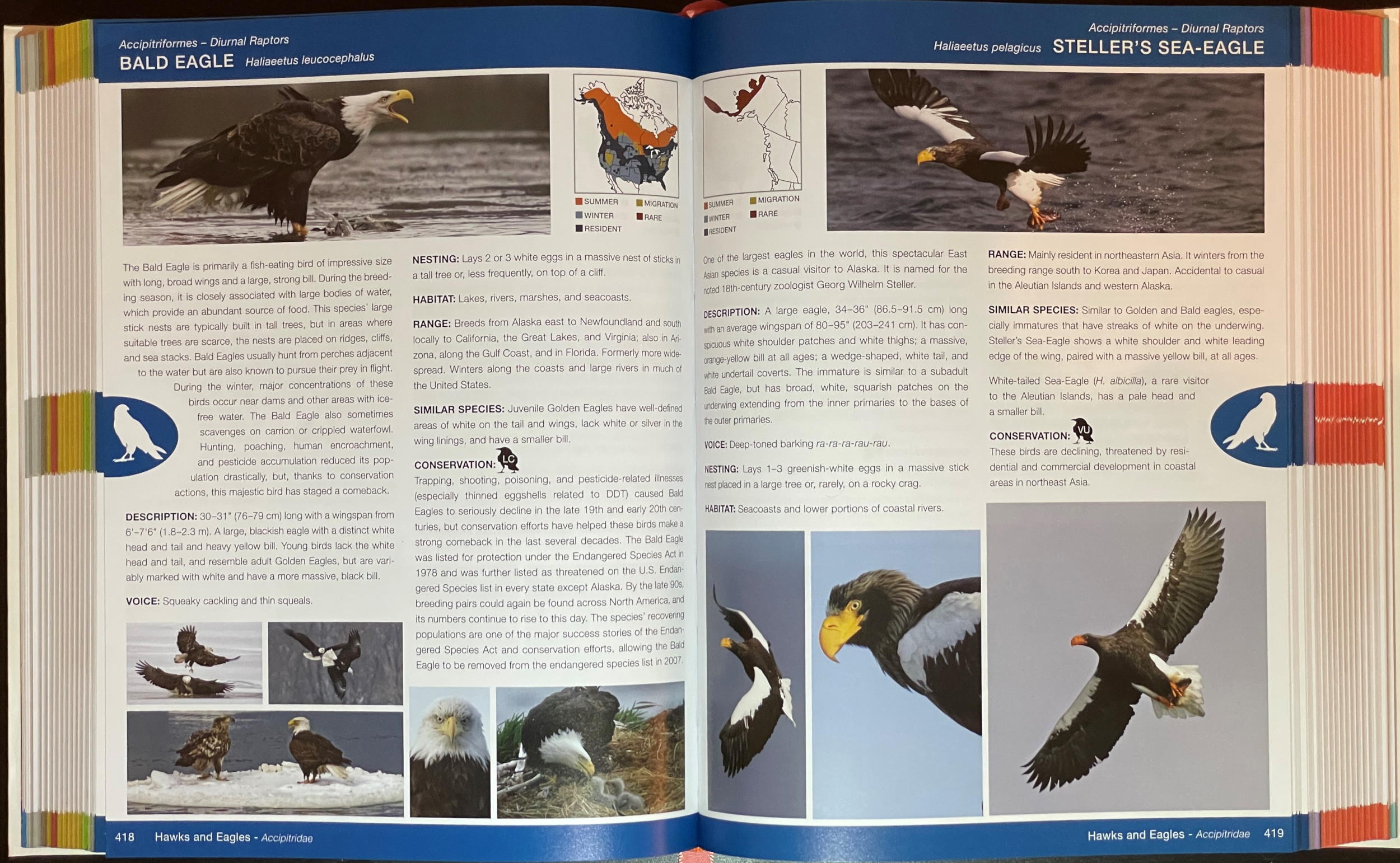 Review National Audubon Society Birds Of North America