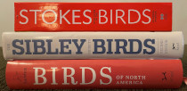 comparison side view of National Audubon Society Birds of North America