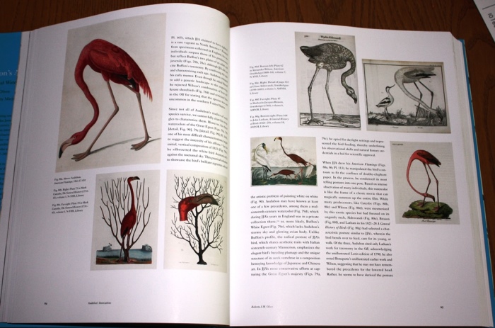 Comparison of flamingo art from Audubon's Aviary: The Original Watercolors for The Birds of America