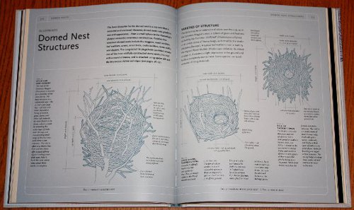 Sample blueprints from Avian Architecture