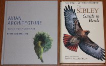 comparison front view of Avian Architecture: How Birds Design, Engineer, and Build