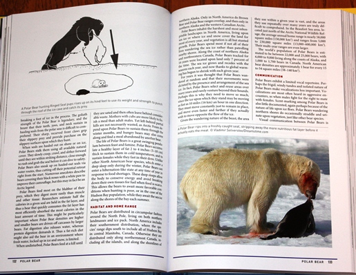 Sample from Peterson Reference Guide to the Behavior of North American Mammals