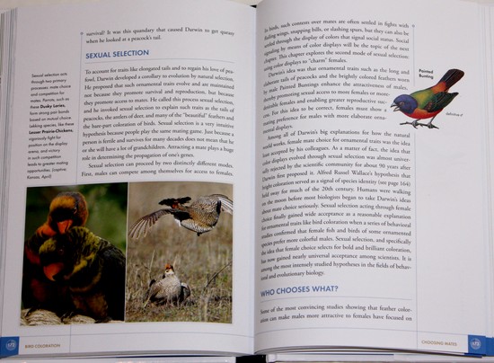 sample from National Geographic Bird Coloration