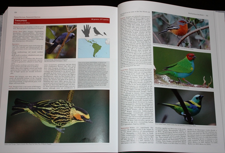 Tanagers from Bird Families of the World: A Guide to the Spectacular Diversity of Birds