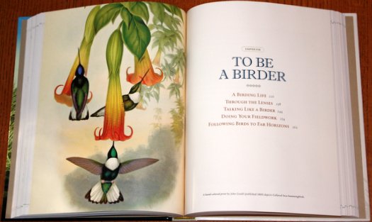 Sample from National Geographic Bird-watcher's Bible: A Complete Treasury