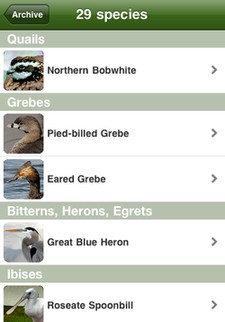 All species you've recorded in the Birdcountr iPhone app