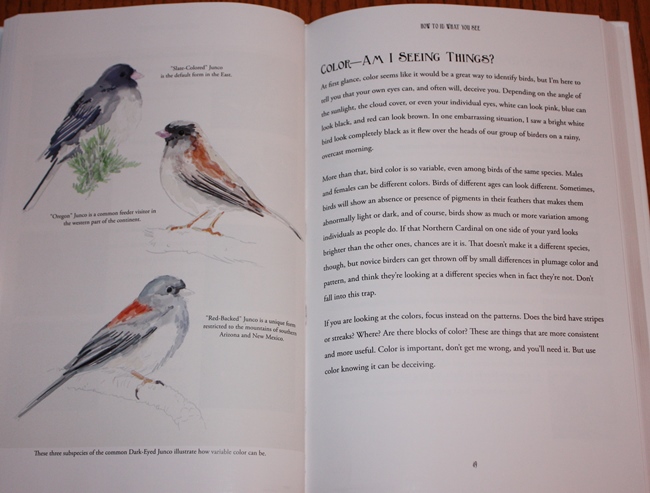 Sample from Birding for the Curious: The Easiest Way for Anyone to Explore the Incredible World of Birds