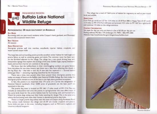 Sample site account from Birding Trails: Texas: Panhandle and Prairies & Pineywoods