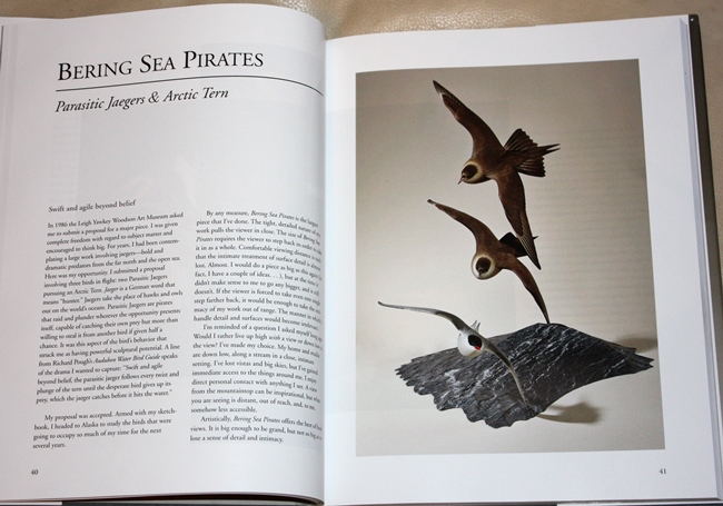 Bering Sea Pirates from Birds, Art & Design