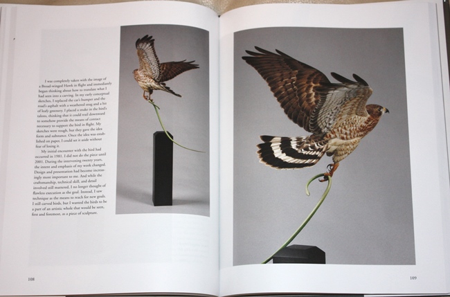 Broad-winged Hawk from Birds, Art & Design