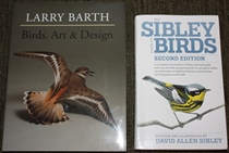 comparison front view of Birds, Art & Design