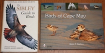 comparison front view of Birds of Cape May, New Jersey