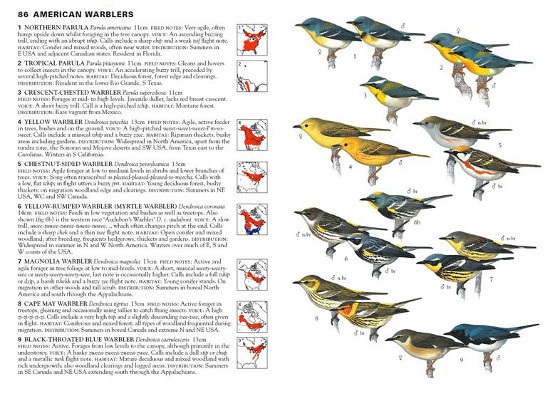 sample pages from Birds of North America and Greenland
