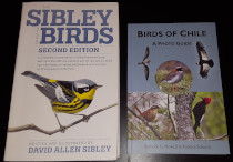 comparison front view of Birds of Chile: A Photo Guide