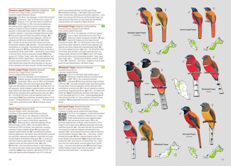 Sample from Birds of Malaysia: Covering Peninsular Malaysia, Malaysian Borneo and Singapore