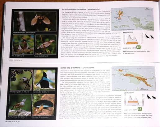 Sample species accounts from Birds of Paradise: Revealing the World's Most Extraordinary Birds