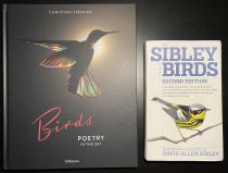 comparison front view of Birds: Poetry in the Sky