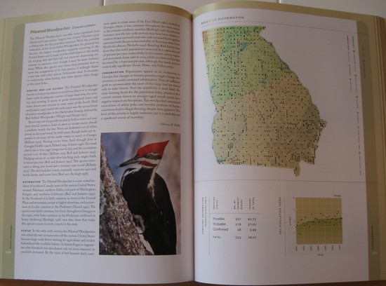 sample account from The Breeding Bird Atlas of Georgia