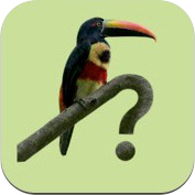 Costa Rica Birds Field Guide iOS app
