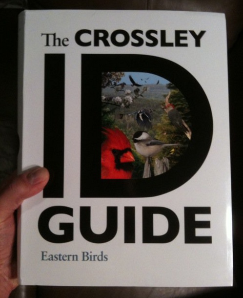 The Crossley ID Guide: Eastern Birds in hand