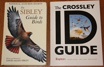 comparison front view of The Crossley ID Guide: Raptors