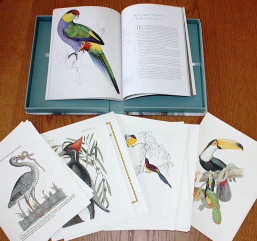 Book and prints from Extraordinary Birds: Essays and Plates of Rare Book Selections from the American Museum of Natural History Library