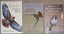comparison front view of Falcons of North America
