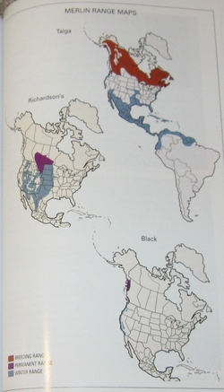 sample range map from Falcons of North America