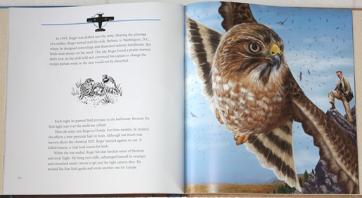Broad-winged Hawk and Roger Tory Peterson from For the Birds: The Life of Roger Tory Peterson