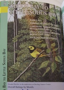 Sample art from Birding the Great Lakes Seaway Trail