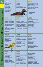 Section Chart from Birding the Great Lakes Seaway Trail