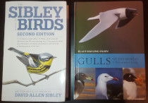comparison front view of Gulls of the World: A Photographic Guide
