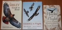 comparison front view of Hawks in Flight: Second Edition