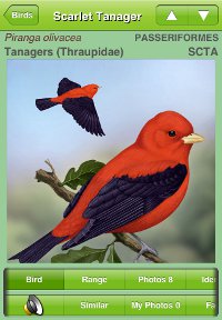 Scarlet Tanager species account from the iBird iPhone app
